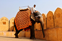 Travel